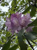 IMG_7862.jpeg