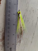 IMG20240712180505.jpg