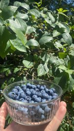 IMG_5547.jpeg