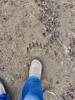 IMG_5433.jpeg IMG_5433.jpeg