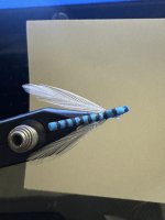 IMG_1195.jpeg