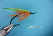 General Fly.jpg