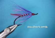 Halliday's Zombi.jpg