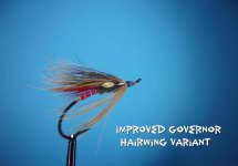 Improved Governor Hairwing 2.jpg