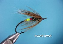Inland Boar.jpg