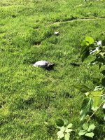 IMG_7711.jpeg