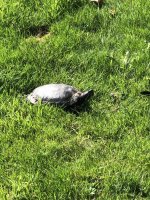 IMG_7712.jpeg
