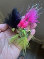 IMG_2145.jpeg
