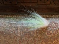 IMG_3570.jpeg