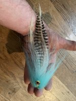 IMG_3553.jpeg