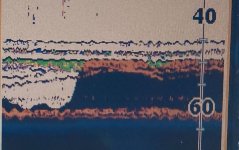 IMG_0243.jpeg