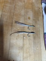 IMG_5431.jpeg IMG_5431.jpeg