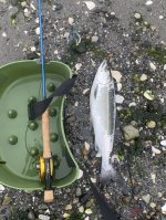 IMG_5706.jpeg