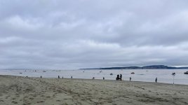IMG_5523.jpeg