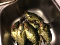 IMG_3876.jpeg