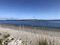 IMG_4117.jpeg IMG_4117.jpeg
