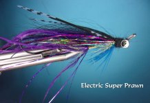 Electric Super Prawn.jpg