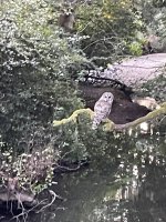 IMG_7658.jpeg