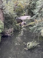 IMG_7657.jpeg