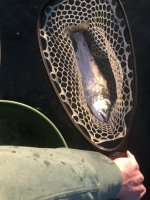 IMG_4118.jpeg