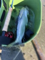 IMG_4119.jpeg