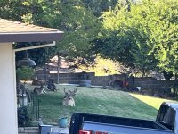 IMG_7297.jpeg