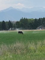 IMG_3864.jpeg