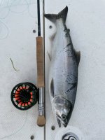 IMG_7686.jpeg