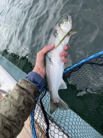 IMG_7682.jpeg