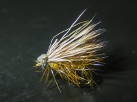A01cElkhairCaddis7190002.jpg A01cElkhairCaddis7190002.jpg
