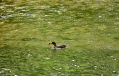 DSC_0059.jpeg