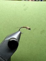 IMG_5109.jpeg