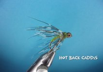 Hot Back Caddis.jpg