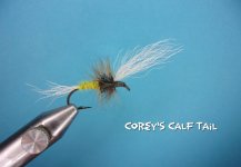 Corey's Calf Tail.jpg