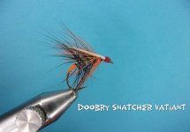Doobry Snatcher.jpg