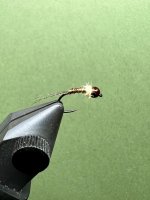 IMG_5115.jpeg