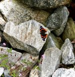 IMG_7672.jpeg IMG_7672.jpeg