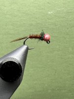 IMG_5119.jpeg
