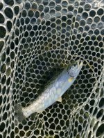 IMG_5792.jpeg