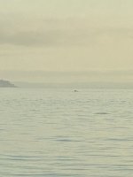 IMG_5791.jpeg