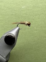 IMG_5120.jpeg
