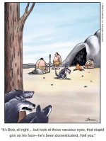 FB_IMG_1722132754158.jpg