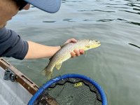IMG_3189.jpeg