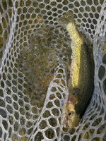 IMG_1041.jpeg