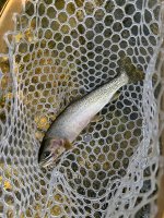 IMG_1031.jpeg