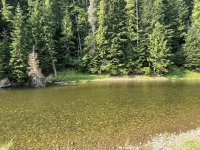IMG_1030.jpeg