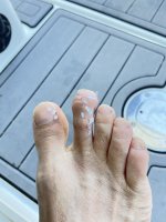 IMG_4618.jpeg