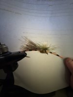 IMG_1247.jpeg