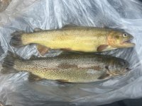 thumbnail_IMG_0620.jpg