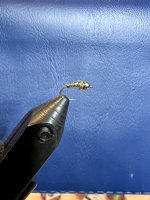 IMG_5130.jpeg